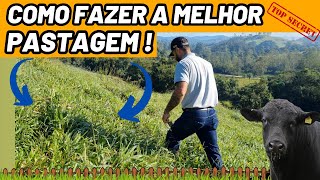 Como fazer a pastagem perfeita !