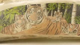 Scrimshaw Showing by Adams - Tiger Family