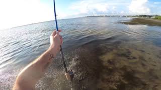 Top Water Quickies: Couple Small Snook At Sunset Fishing North Siesta Key Bridge Flats