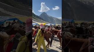 Horse Stands Sonamarg Kashmir !! #shorts #ytshorts #shortfeed #sonamarg #kashmir #trending