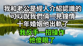 我和老公是經人介紹認識的，可以說我們倆一見鐘情，十年婚姻他出軌了，我反手一招操作他傻眼了【人間清醒】#家庭倫理#婆媳關系#生活伦理#小说故事#落日溫情 #情感故事 #花開富貴 #深夜淺讀