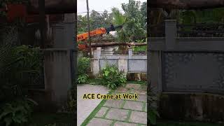 ACE Crane Lifting Heavy Teak Wood