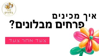 בלונים - המדריך להכנת פרחים מבלונים