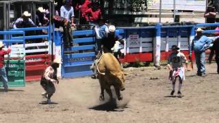 Warkworth Rodeo 2013