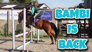 JUMPING MY PONY FOR THE FIRST TIME IN 2 YEARS?! - BAMBI IS BACK!