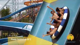 Calypso Theme Water Park - Sara Max - TPRT