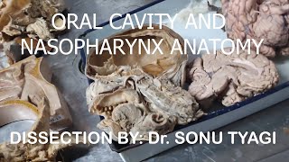 Anatomy of Oral Cavity, Oro-Pharynx, Nasopharynx, Pharynx Dissection by Dr. Sonu Tyagi | MBBS VIVA|