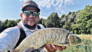 🎣 Ultima partida de vara la clean 🎣 Am pescuit la clean cu voblere top water 🎣 Am prins clean mare 🎣