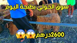 سوق الحولي بطنجة اليوم اصغر حولي طالب فيه مولاه 2600درهم واش يستاهل