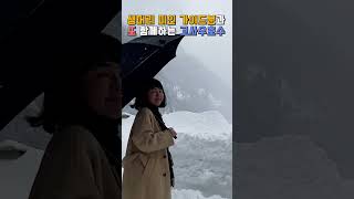 눈속에 파묻혀버렸다🌨 눈밖에 안보인다🌨 | 오스트리아 Austria | 고사우 호수 | 유럽여행 #shorts