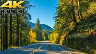 Olympia to Olympic National Park Washington Scenic Drive 4K