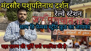 Mandsaur JOURNY | Pashupatinath tample |Railway Station | Famous street food |Ravan