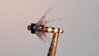 CADDIS -  EMERGER  variant  SVA