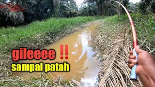 IKAN BETOK APA IKAN PAUS JORAN SAMPAI PATAH || mancing betok papuyu