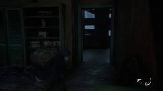 TLOU 2 ps5 John Wick aura Future