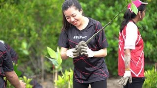 PwC Malaysia: World Environmental Week - Mangrove Planting Highlights