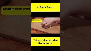 Garlic Spray - 7 Natural Mosquito Repellents #mosquito #mosquitorepellent #repellent #garlic #spray