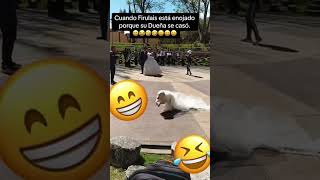 🤣😂😂😂funny video short