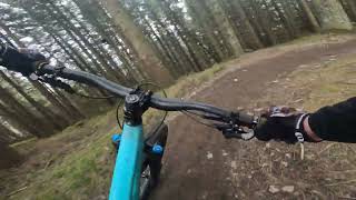 Glentress - Red Route - Santa Cruz Bronson