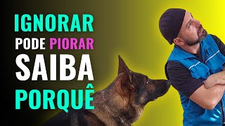 IGNORAR O COMPORTAMENTO do cachorro NÃO ENSINA NADA e pode agravar o PROBLEMA