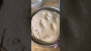 10lbs of whole wheat fresh milled flour dough #dough #wholewheatbread #freshmilledflour