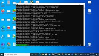 How To Install Parrot OS CLI In Debian Via WSL2 In Windows 10