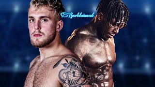 Jake Paul vs Nate Robinson Official Fight 2020