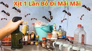 Đừng Lo Lắng Khi Nhà Bạn Quá Nhiều Kiến.Hãy Dùng Thứ Này Xịt 1 Lần Kiến Bỏ Đi Mãi Mãi.Không Hóa Chất