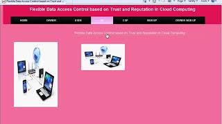 Flexible Data Access Control based on Trust and Reputation in Cloud Computing