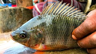 Big Tilapia Fish Cutting By Fishmonger🐟Fish Market Fish Cutting Skills, Fish Cutting Videos