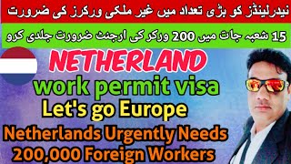 Netherland work permit visa from india 2023|netherland free work permit visa|how to get work visa