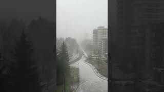 North Vancouver: First snowfall of the Year #snow #britishcolumbia