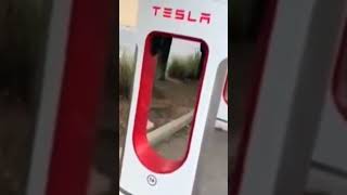 В США разворовали кабели зарядки для Tesla