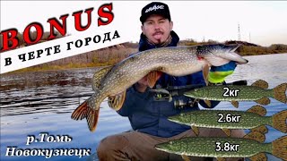 Щука на джиг #РЫБАЛКА #ДЖИГ #ТОМЬ #ЩУКА #НОВОКУЗНЕЦК #RELAX #SAVAGE GEAR #ABU GARCIA