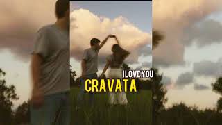 CRAVATA - I LOVE YOU (slowed&reverb)