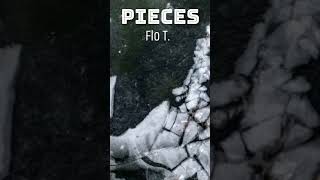 Flo T. - Pieces (Visual) #shorts