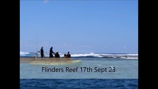 Diving Flinders Reef 17-09-2023