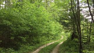 Nature Sounds on a Kentucky farm