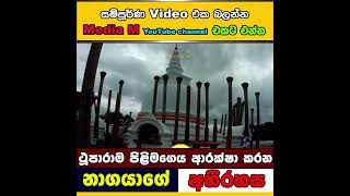 ථූපාරාම පිළිමගෙය ආරක්ෂා කරන නාගයාගේ අභිරහස | Thuparama Statue House Polonnaruwa | sri lanka #shorts