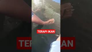 Terapi Ikan guys #shorts #emakebocah #shortvideo