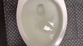 [178] Clogged Gerber Ultraflush Toilet (rushed video)