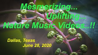 Music Video Filmed Using The Canon EOS System (North Texas June 28 2020)