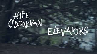 Aoife O'Donovan - "Elevators" [Official Audio + Lyrics]