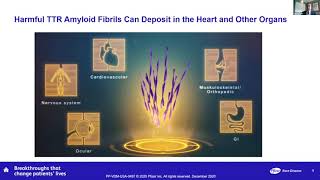 Pfizer's Vyndaqel and Vyndamax (tafamidis) treatments for TTR amyloidosis