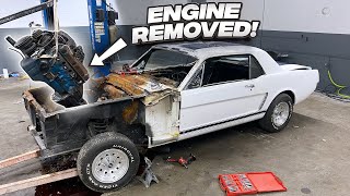 Removing The 1965 Mustang Engine! Can It Be Saved ?