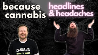 headlines & headaches - because cannabis episode #15