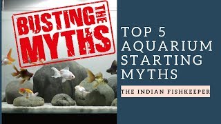 Top 5 Aquarium Hobby Myths Busted | The Indian Fishkeeper