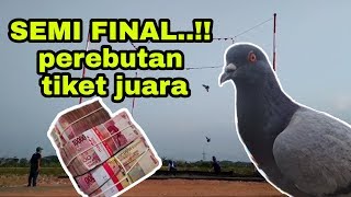 SEMI FINAL LOMBA MERPATI KOLONG LAPAK KEBO IJO CUP TEGALONTAR