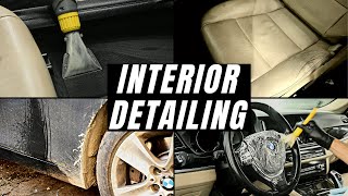 Interior Detailing this Filthy BMW F10 - Car Detailing