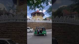 Kandy Sri Lanka #youtubeshorts #shots #kandy #temple #buddha